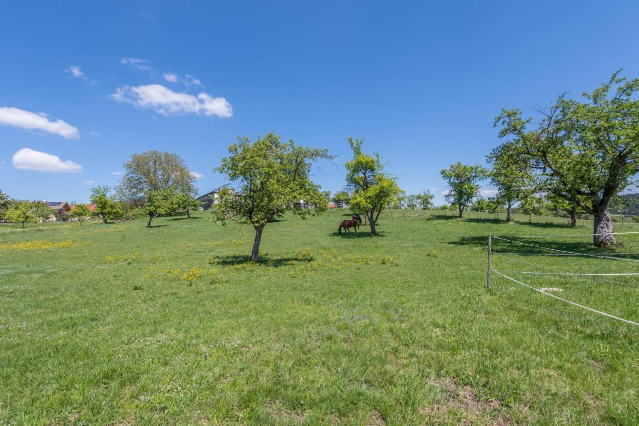 Ferienwohnung Rudi Taching am See Екстериор снимка
